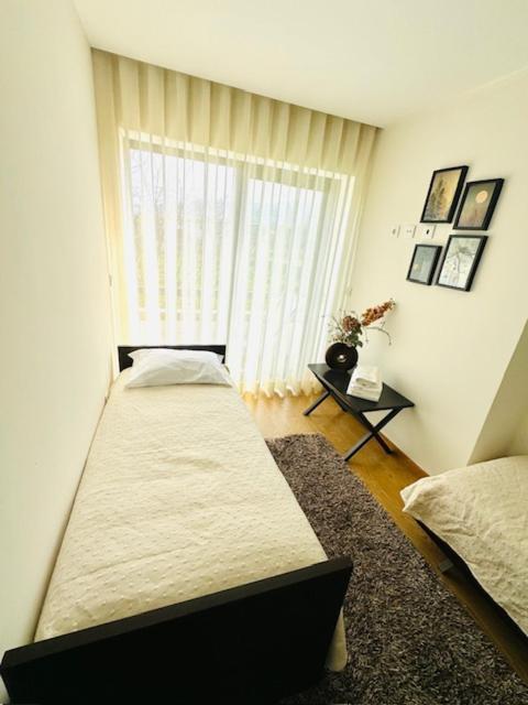 Апартаменти Casa Do Carvalho - Понте-де-Ліма Екстер'єр фото